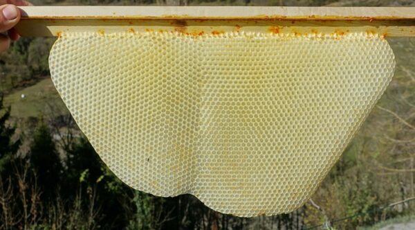 Cire d'abeille 100% naturelle France