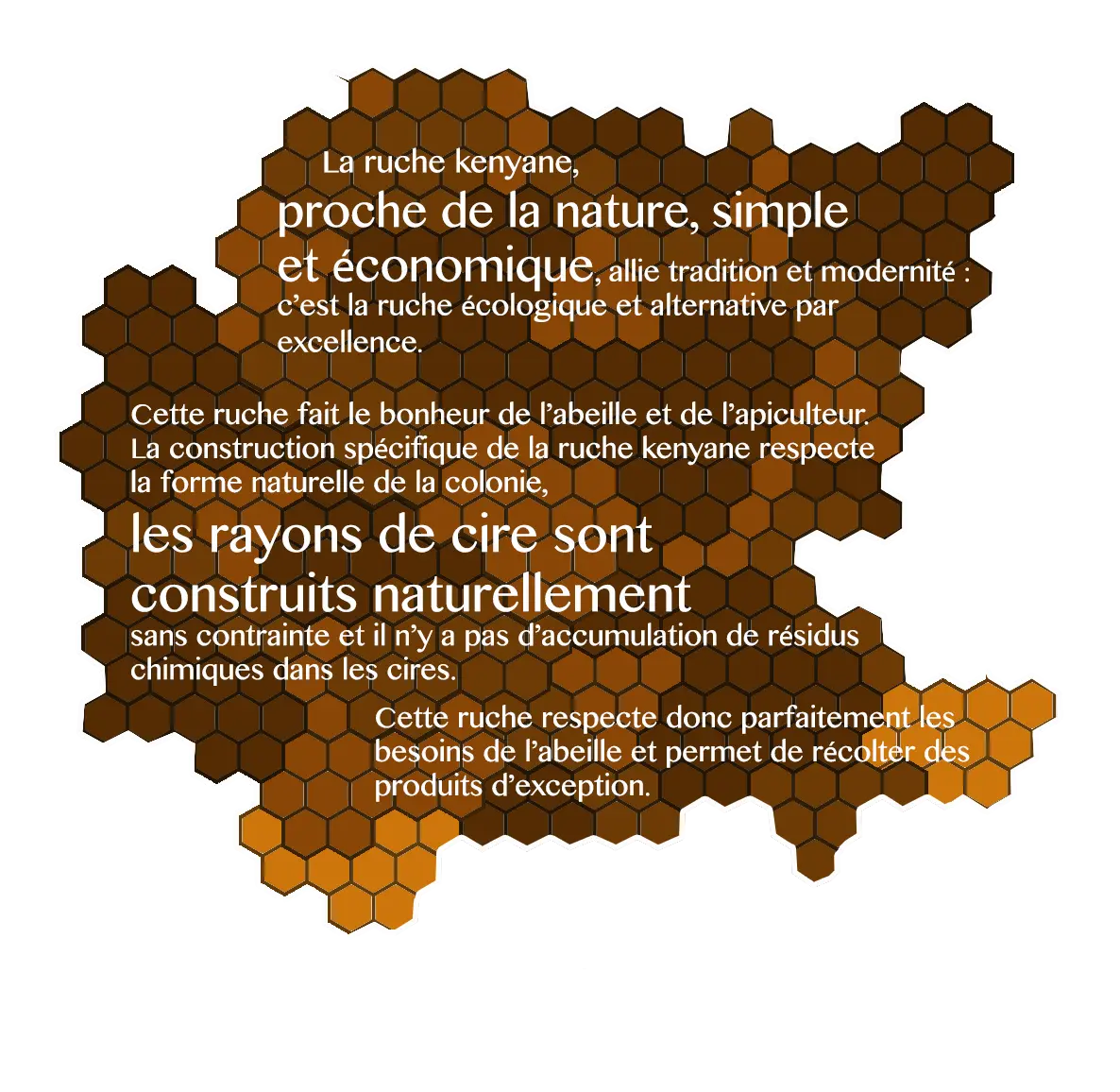 Gelée Royale Bio France  Rucher Pentu - Récoltée dans les Pyrénées