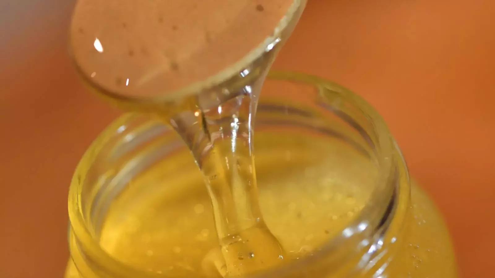 Miel Pressé à froid: un miel biologique exceptionnel.