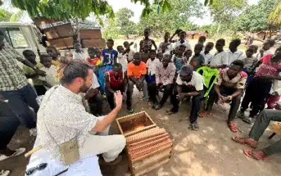 Le Rucher Pentu transmet son savoir-faire aux apiculteurs du Congo