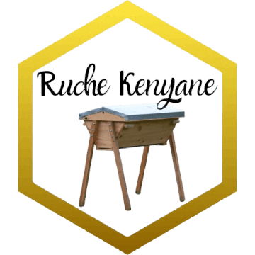 4-ruche kenyane